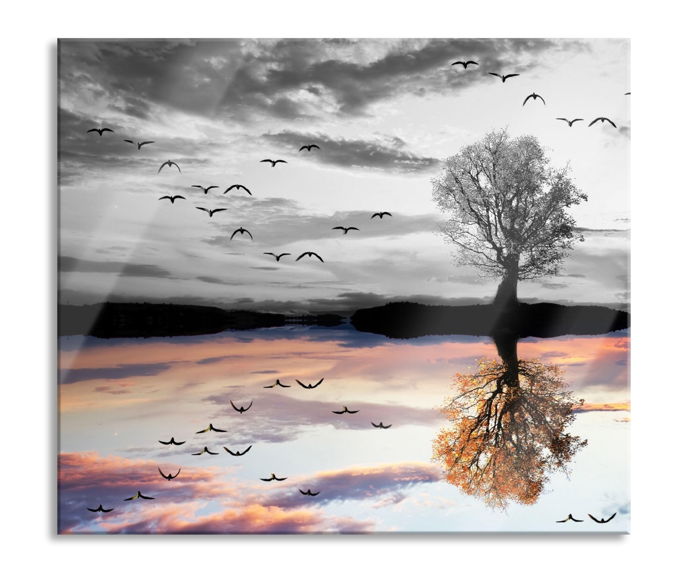 Baum der sich im Wasser spiegelt Herdabdeckplatte & Spritzschutz aus Echtglas | Für Herd-Kochfelder | 60x52 cm