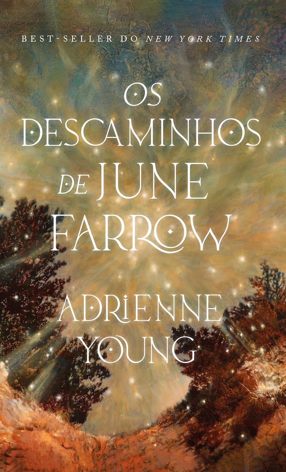 Capa do livro Os descaminhos de June Farrow – Uma história fantástica com viagem no tempo, maldição e mistério por Adrienne Young, Isabella Pacheco