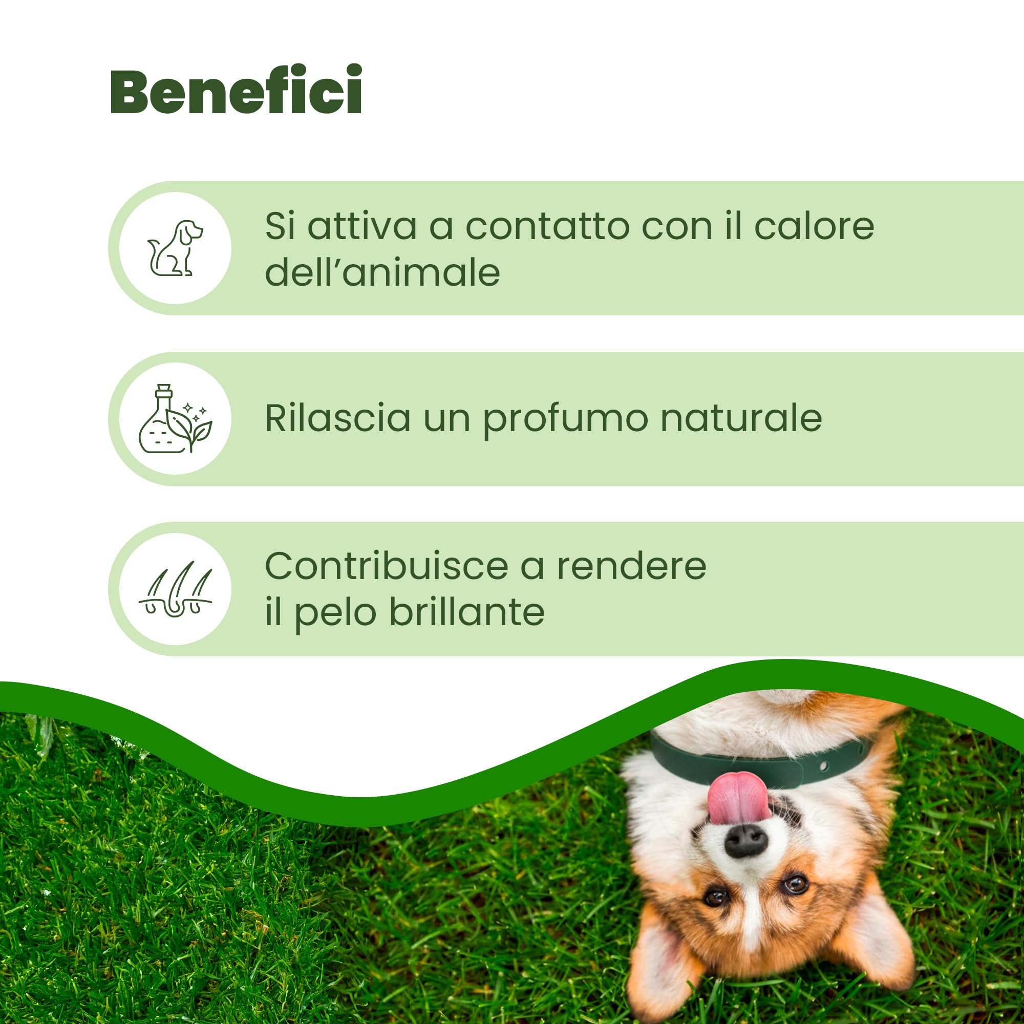 CAMON | Collier de protection pour chien (> 10 kg) avec huile de Neem, 60 cm, protection naturelle jusqu'à 2 mois