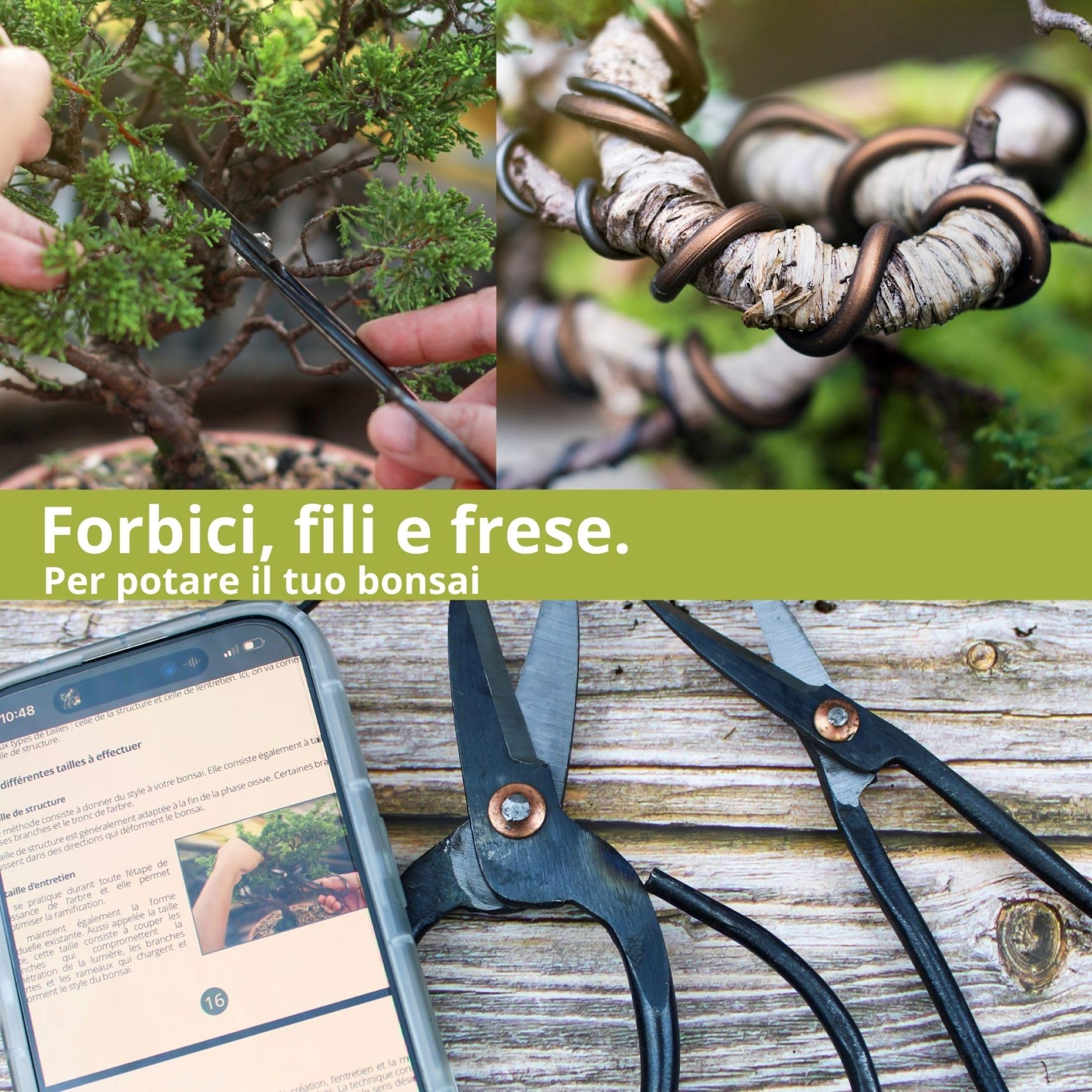 Cultivea® Set di 32 Attrezzi Completi per Bonsai - Attrezzi in Acciaio - Giardino - Cesoie per Bonsai e Cura delle Piante - Forbici - Pinze - Potatura Bonsai - Filo di Alluminio