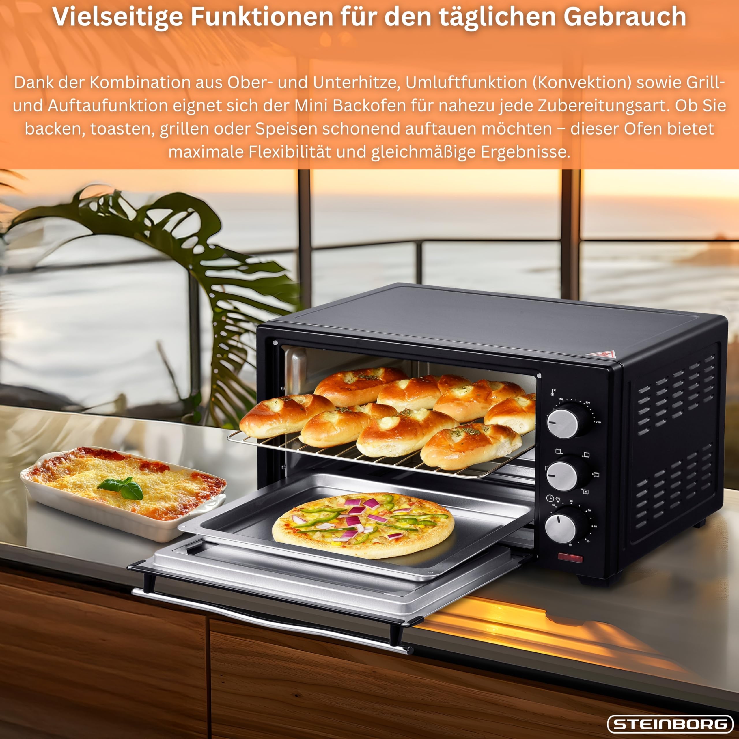 STEInBORG Mini Backofen 25 Liter | Pizza-Ofen | 3in1 Backofen | Minibackofen | Miniofen | Krümelblech | Ober-/Unterhitze | Konvektion | 60 minTimer | 1.600 Watt
