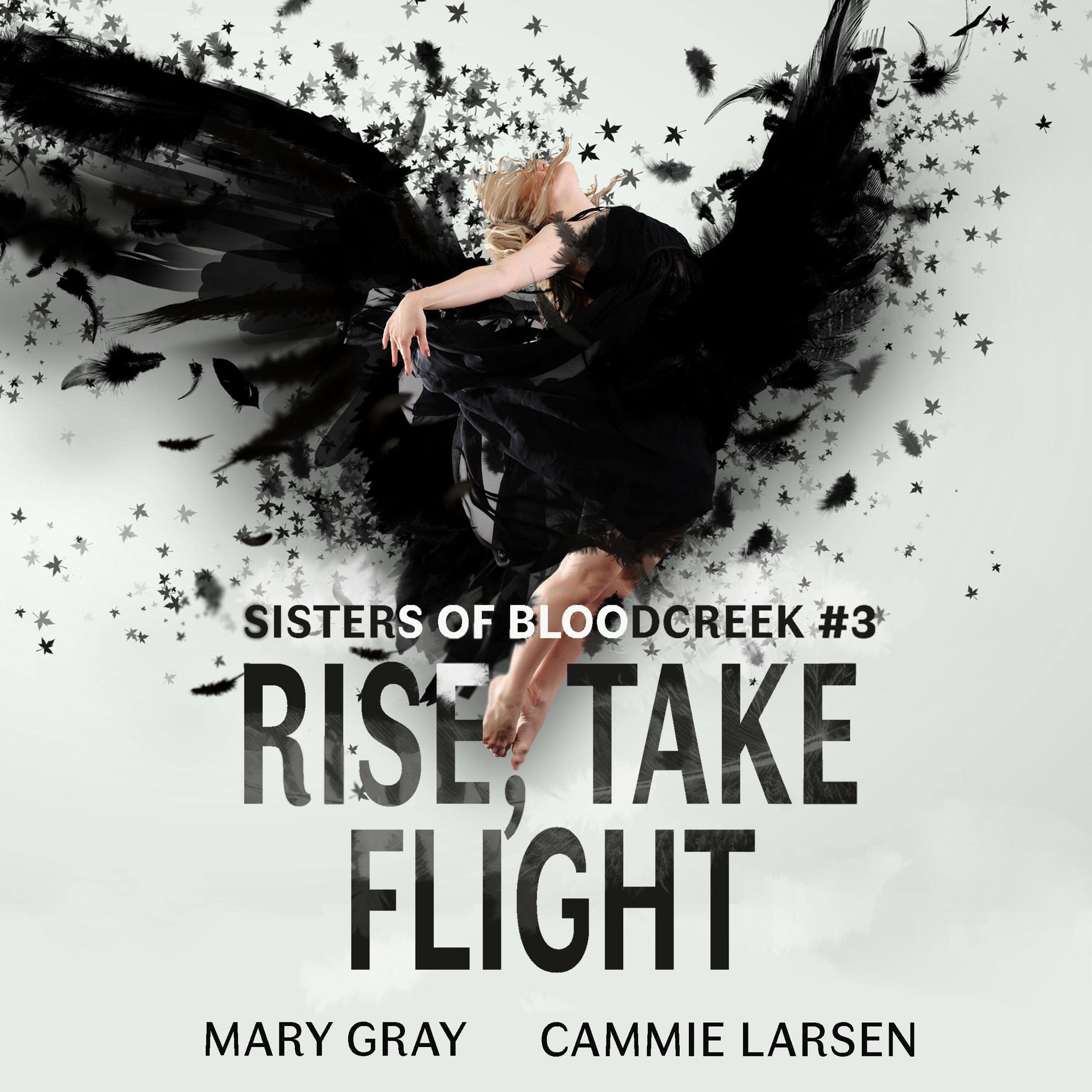 Cover art for Rise, Take Flight