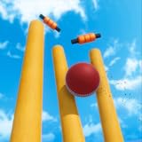Win and upgrade the cricket league players