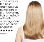 L'Oreal Professionnel Absolut Repair Shampoo, Repairing Shampoo for Dry & Damaged Hair, Restructures & Adds Shine, With Protein & Omega 9