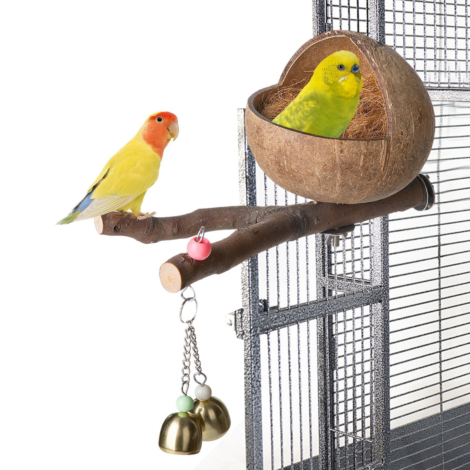 Nid D'oiseau En Noix De Coco Naturelle, Cage à Oiseaux à Suspendre