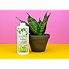Product Photo 8