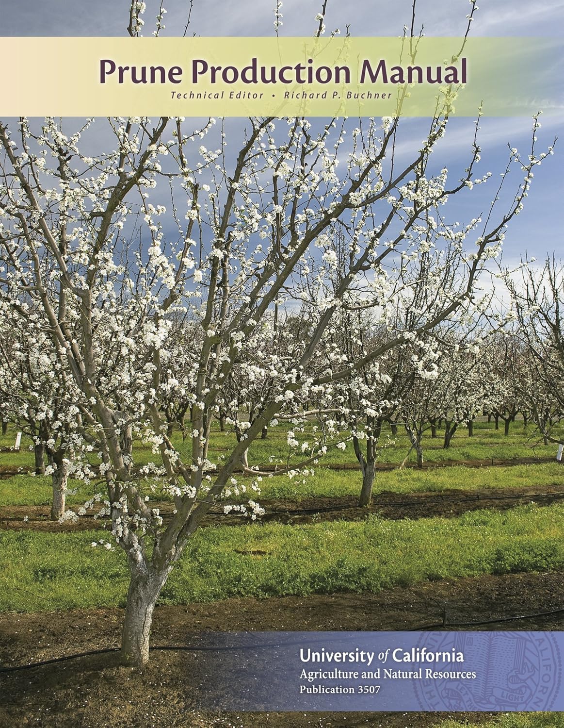 Prune Production Manual
