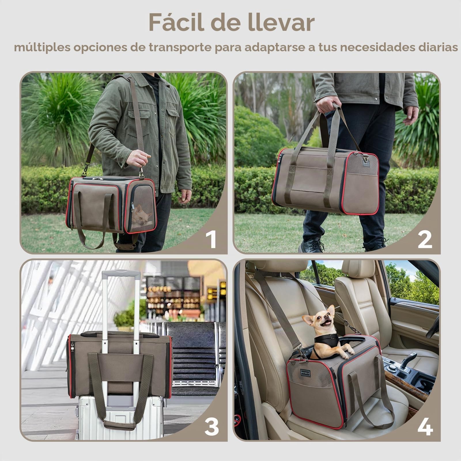 Petsfit Transportador para Gatos expandible Aprobado por aerolíneas, transportador de Perros portátil Suave con Alfombrilla extraíble para Perros y Gatos pequeños, Gris Oscuro, M: 43 x 28 x 28 cm