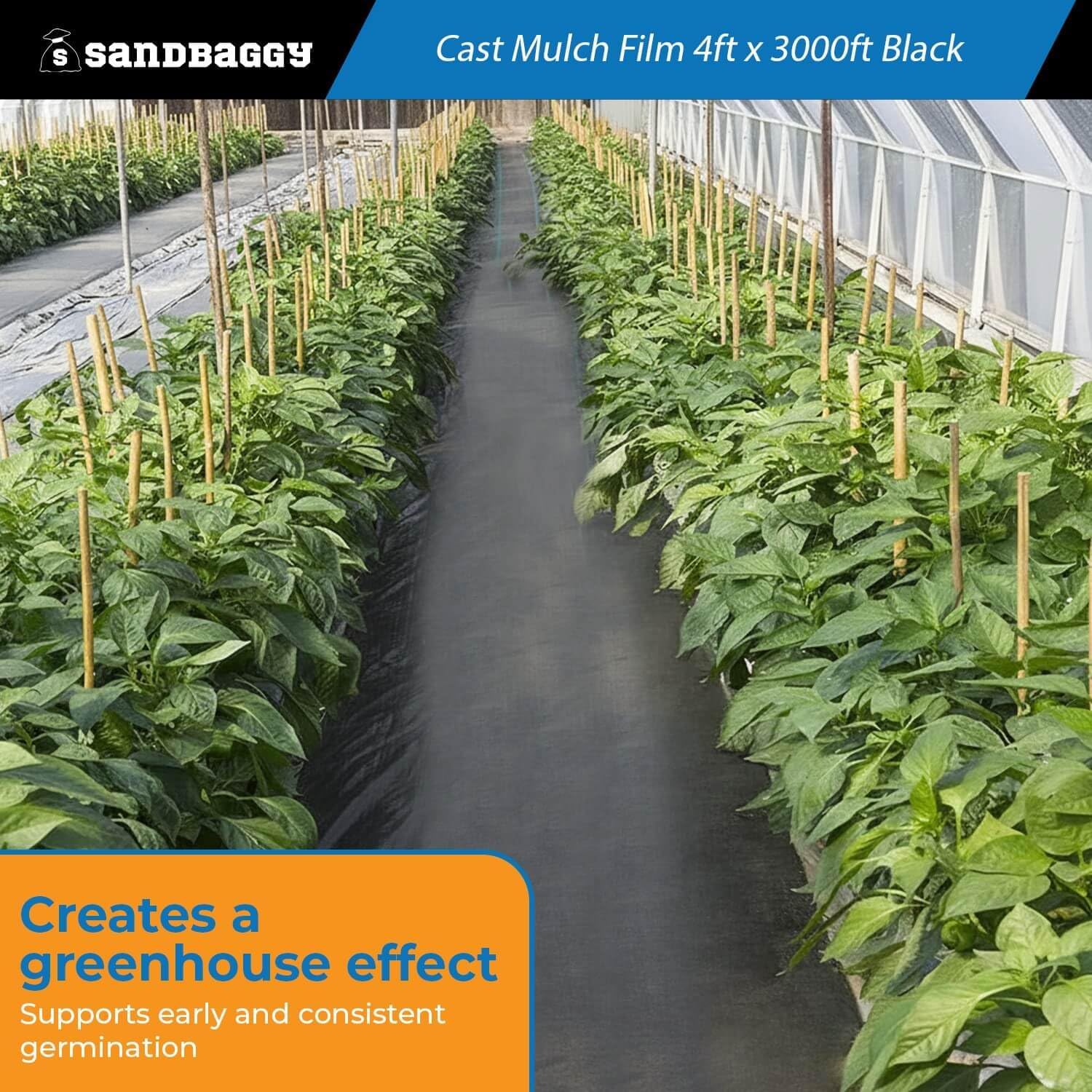 Black Cast Mulch Film Roll – 4 ft x 3000 ft, 1.25 mil | High-Yield Garden Plastic Mulch (4 ft x 3000 ft Roll, 1, Count)