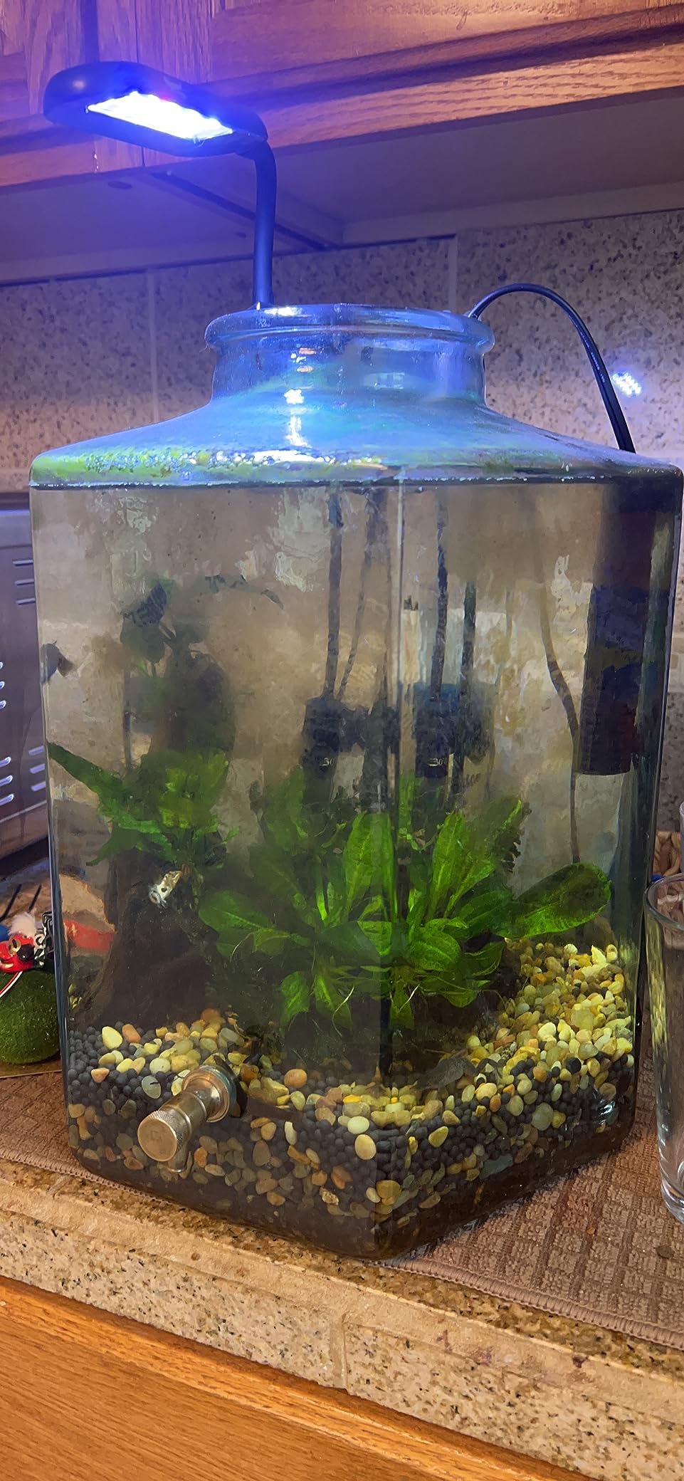 $4/mo - Finance hygger 0.5~5 Gallon Nano Tank Mini Clip-on Aquarium ...