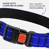 Vista 49 de CollarDirect Reflective Dog Collar for a Small, Medium, Large Dog or Puppy with a Quick Release Buckle - Boy and Girl - Nylon Suitable for Swimming