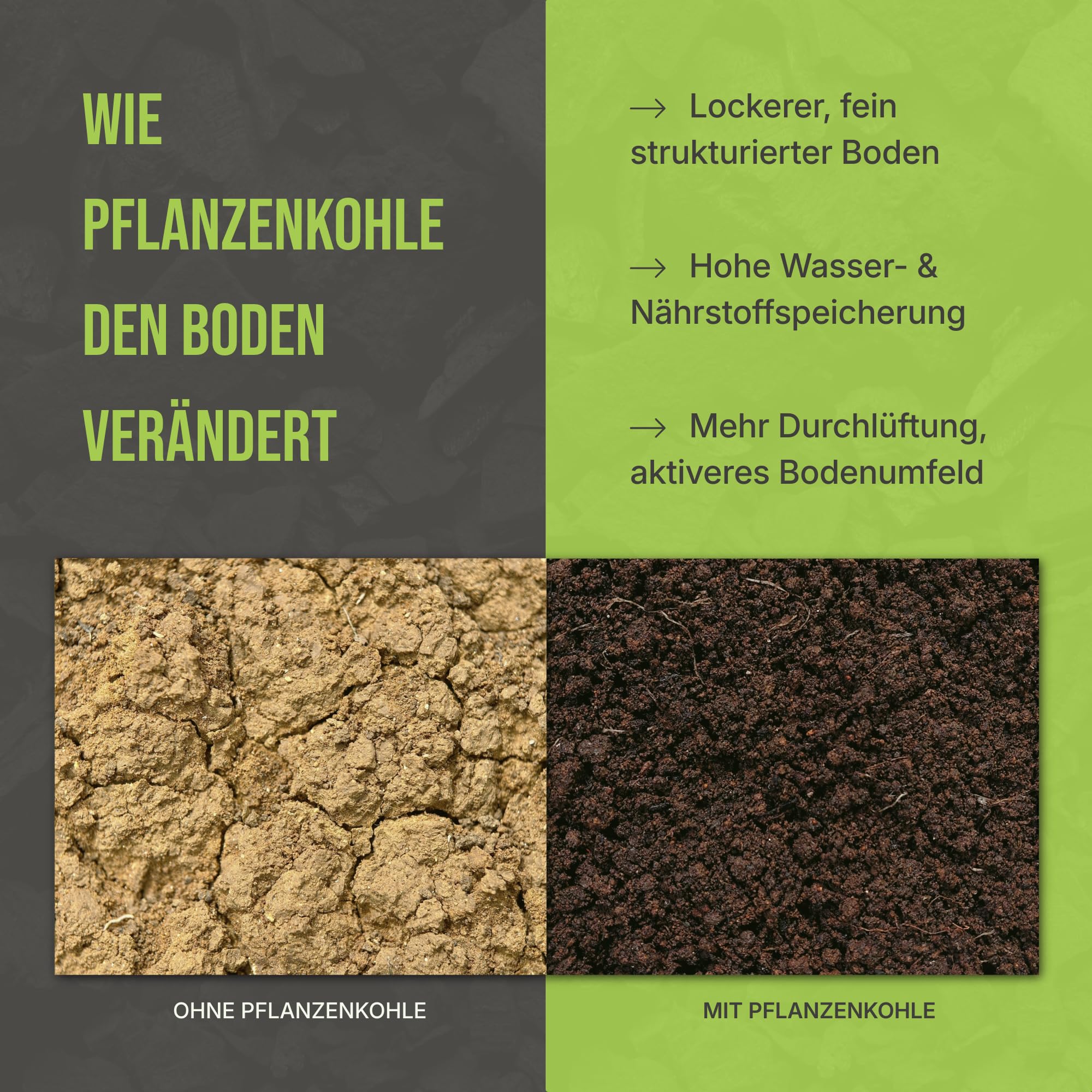 C44-20L Premium Pflanzenkohle - EBC-zertifiziertes Biochar für Garten, Rasen & Hochbeet - Basis für Terra Preta - Hochporöser Bodenverbesserer & Nährstoffspeicher