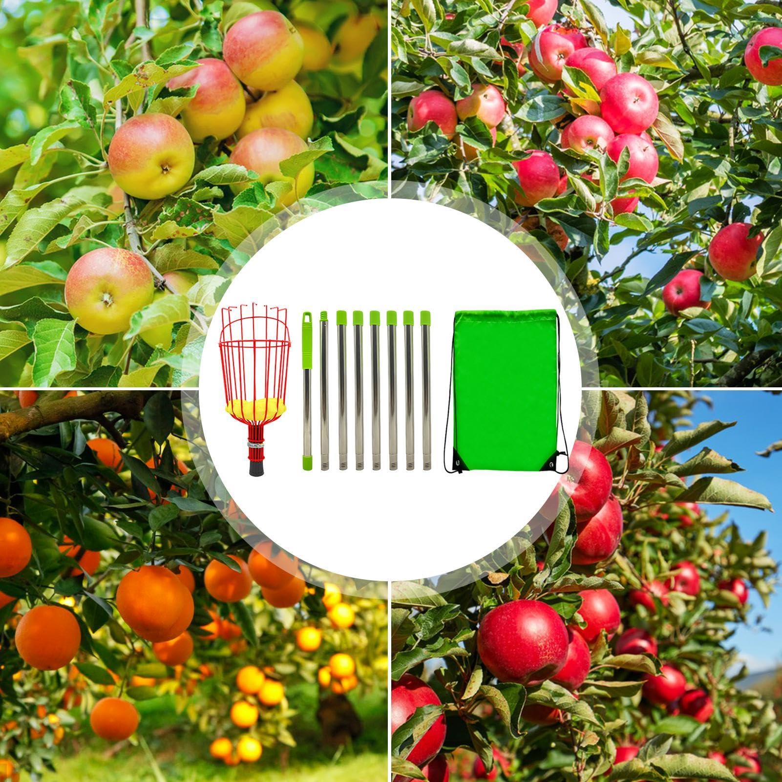 Strumento raccoglifrutta – raccogli frutta facile, raccogli frutta a piede | asta telescopica in acciaio con cestino, raccoglitore di frutta, cestino con telescopico, leggero raccoglitore di