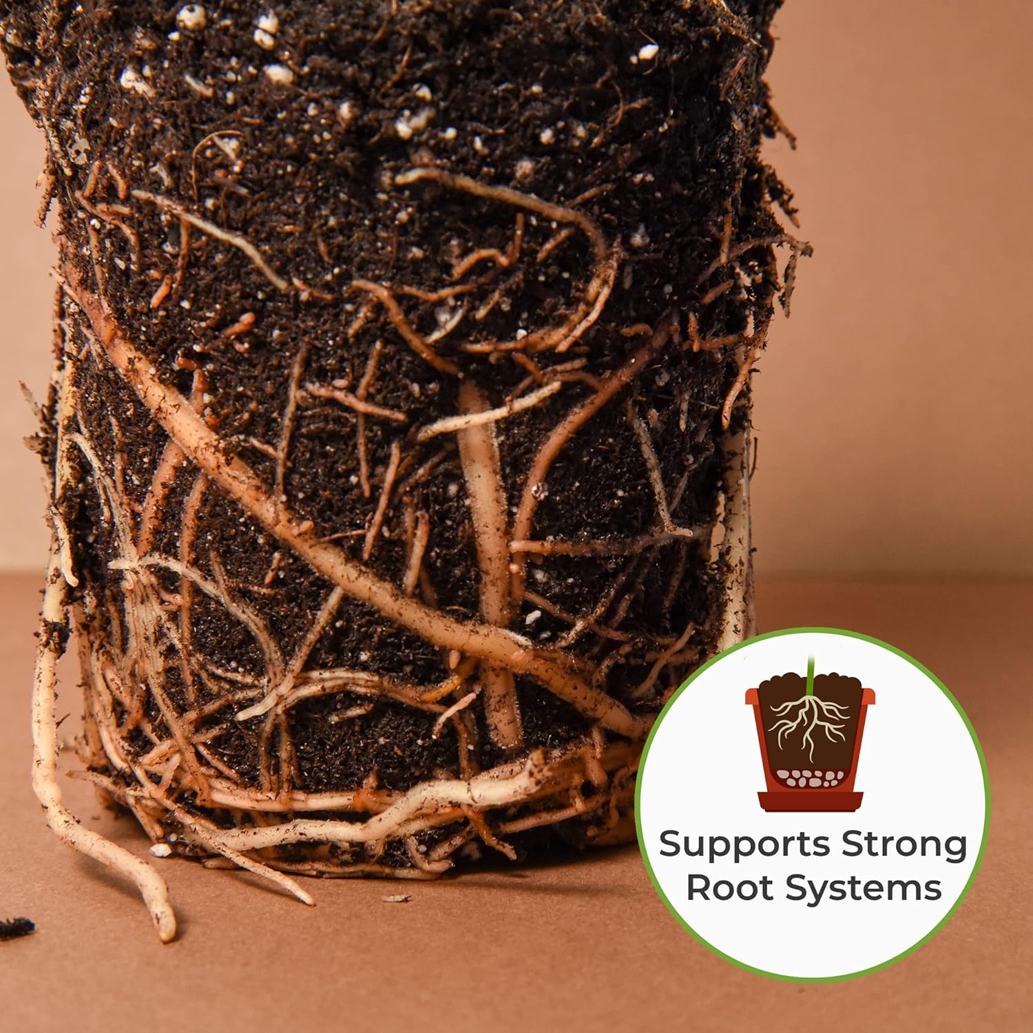 Perfect Plants Organic Snake Plant Soil in 8qt. Bag | Coco Coir Based Potting Mix Snake Plant Varieties