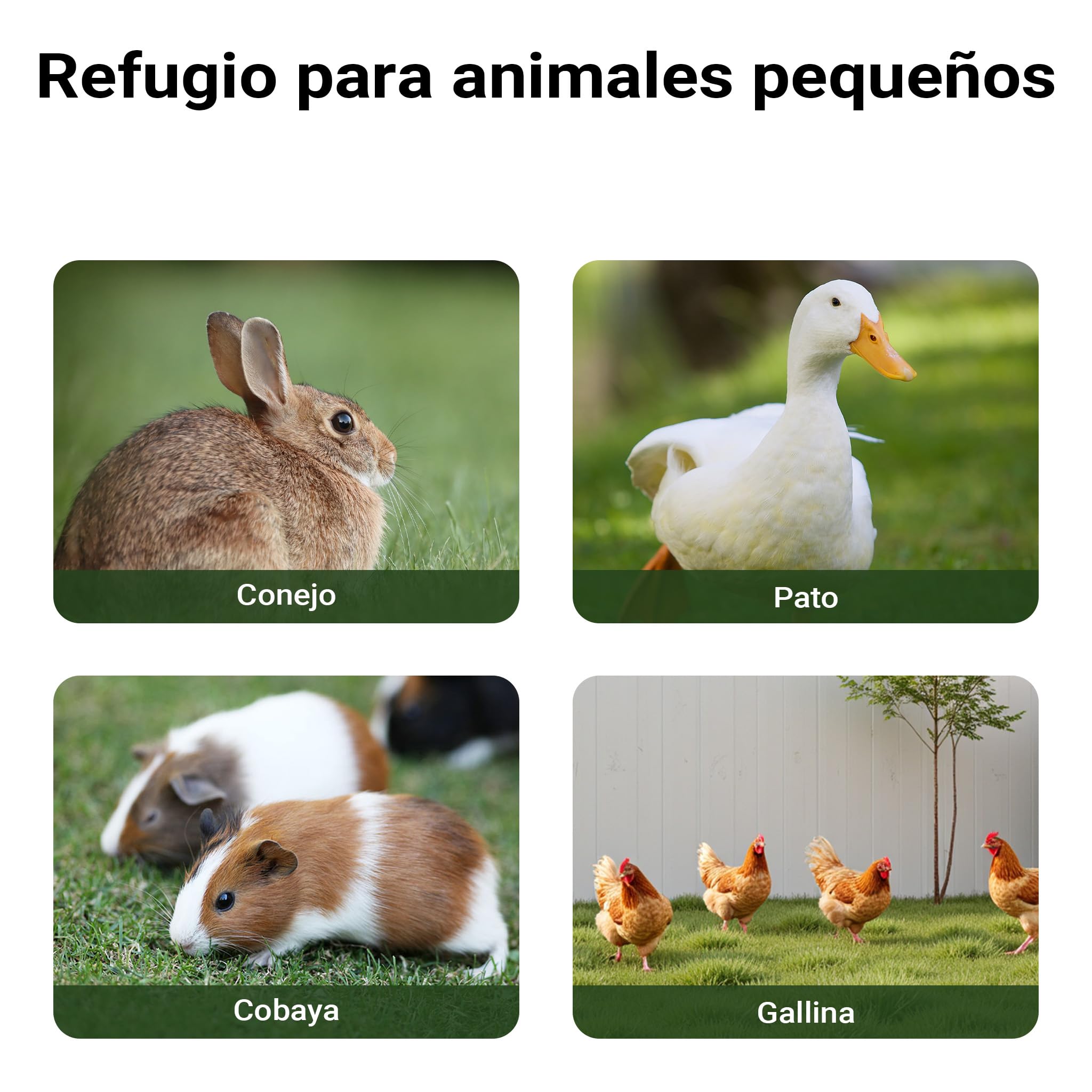 Conejera Jaula Conejos recinto Descubierto Zona Descubierta Corredor caseta Corral Madera Abeto