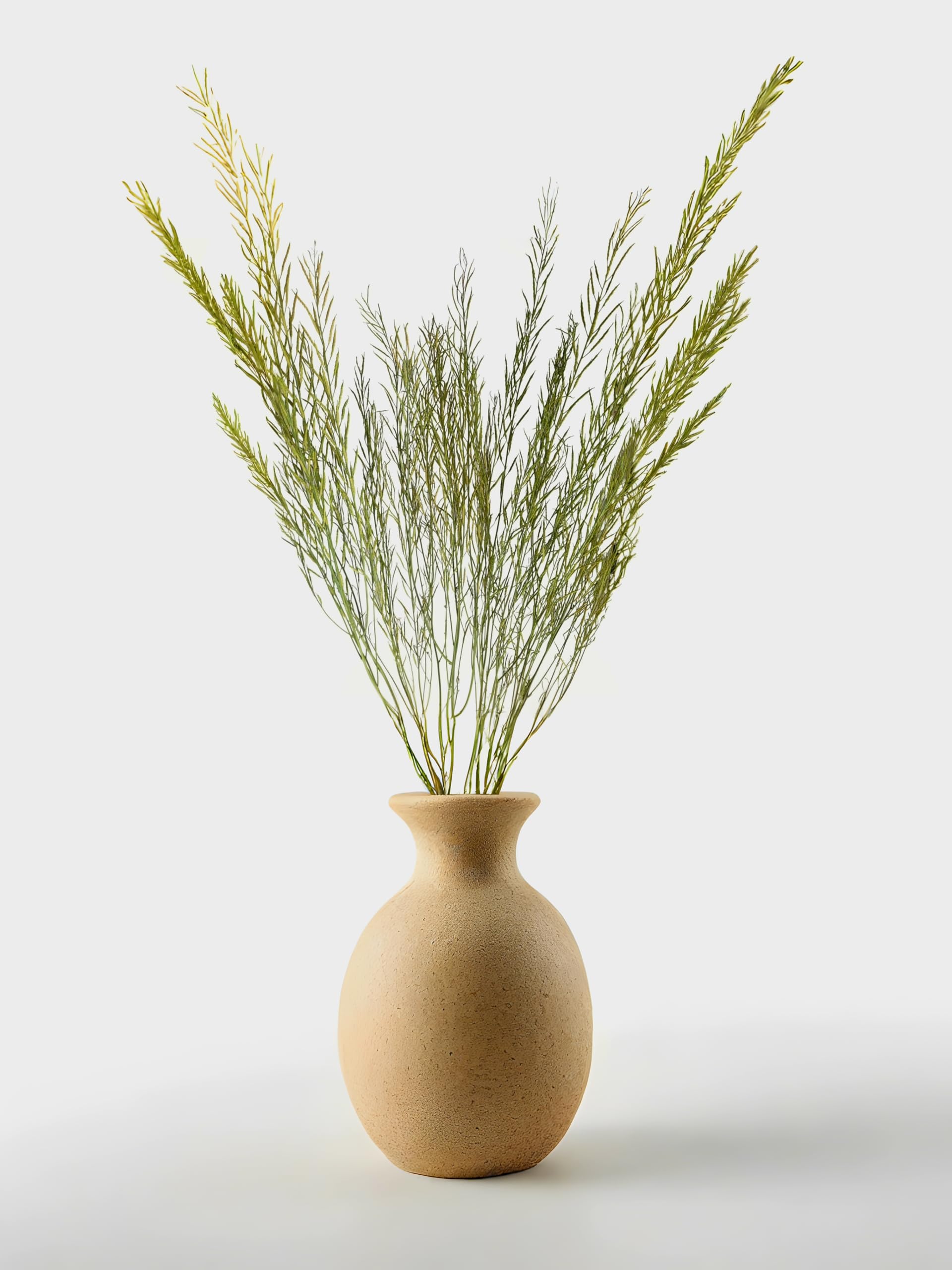Natural Dried Green Branches - Long Real Stems for Vases - Rustic Home Decor, DIY Crafts, Wedding & Party Decor, Office & Living Room Decoration (Pack of One )-image-34