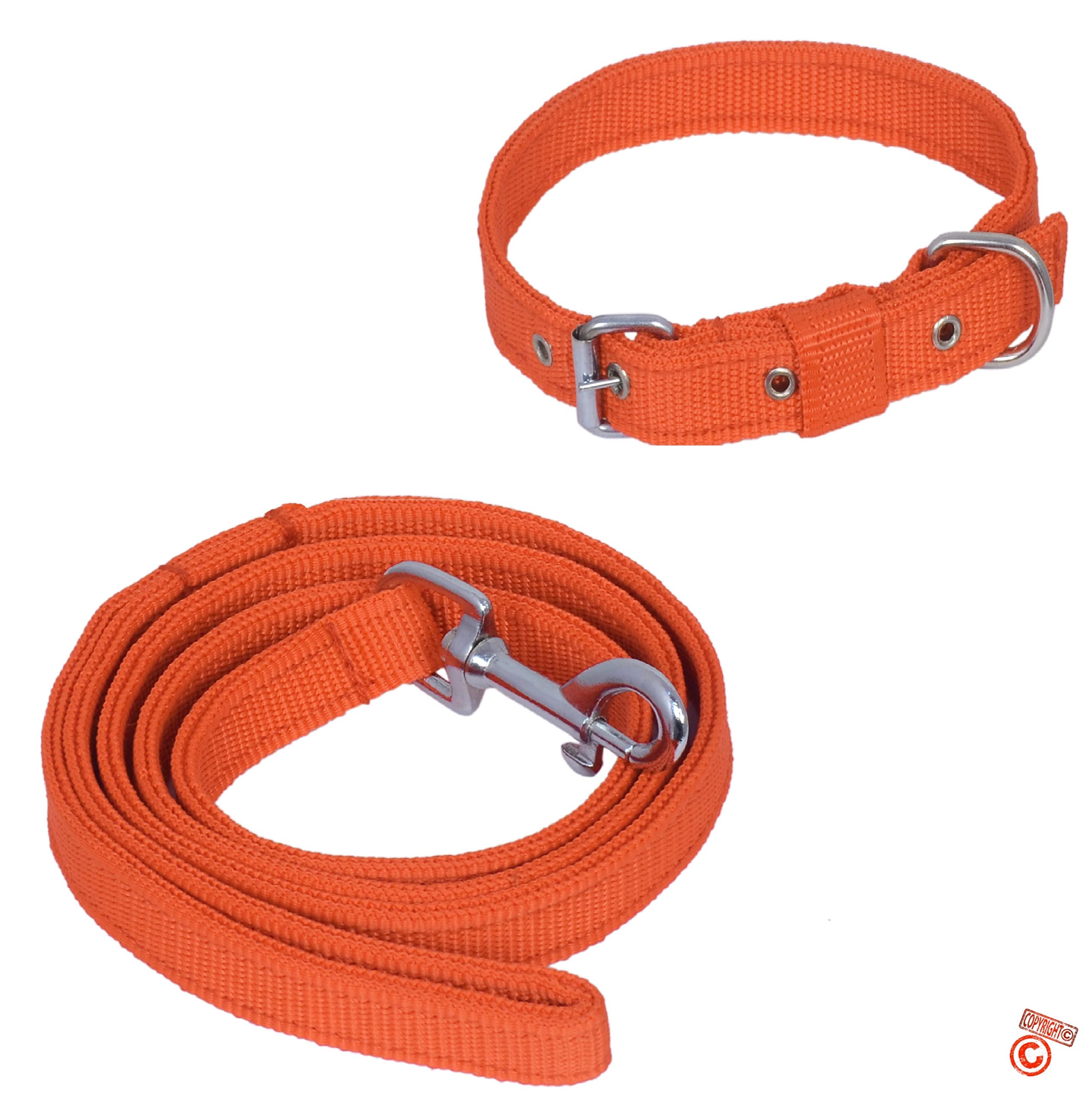 Quickato Dog Belt Combo of Orange Collar with Orange Dog Leash, Adjustable Neck Size 37-49 cm Dog Collar & Leash Dog Collar & Leash (B09PLF9FK7) Amazon Price History, Amazon Price Tracker