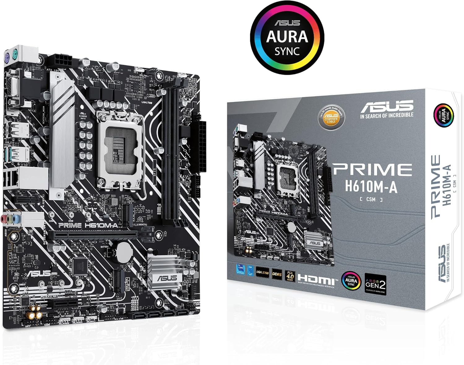 ASUS Placa-mãe Prime H610M-A: Review Testado por 30 dias para negócios