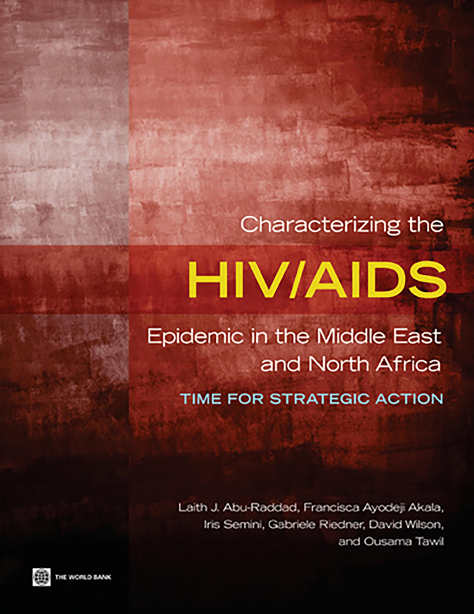 Buy Characterizing the HIV/AIDS Epidemic in the Middle East and North Africa: Time for Strategic Action — BookShops.in