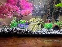 Review Image by Nycholec Nycholec