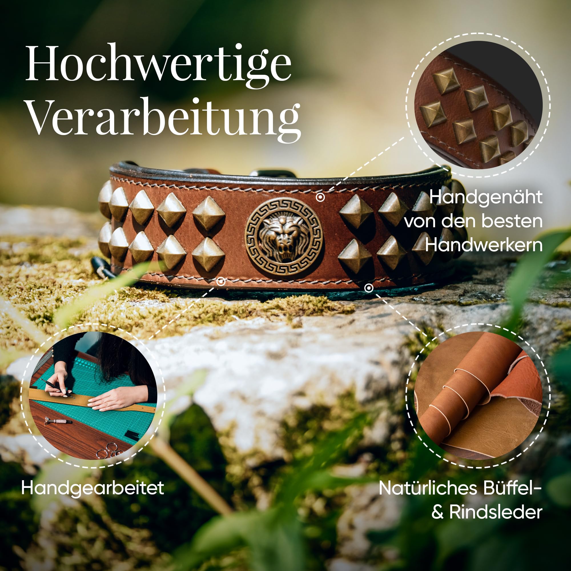MICHUR Diego Marron Collier pour Chien Collier en Cuir Collier pour Chien Cuir avec Application tête de Lion Rivets Plats en Laiton Aklt Aspect Brun Or Disponible en différentes Tailles