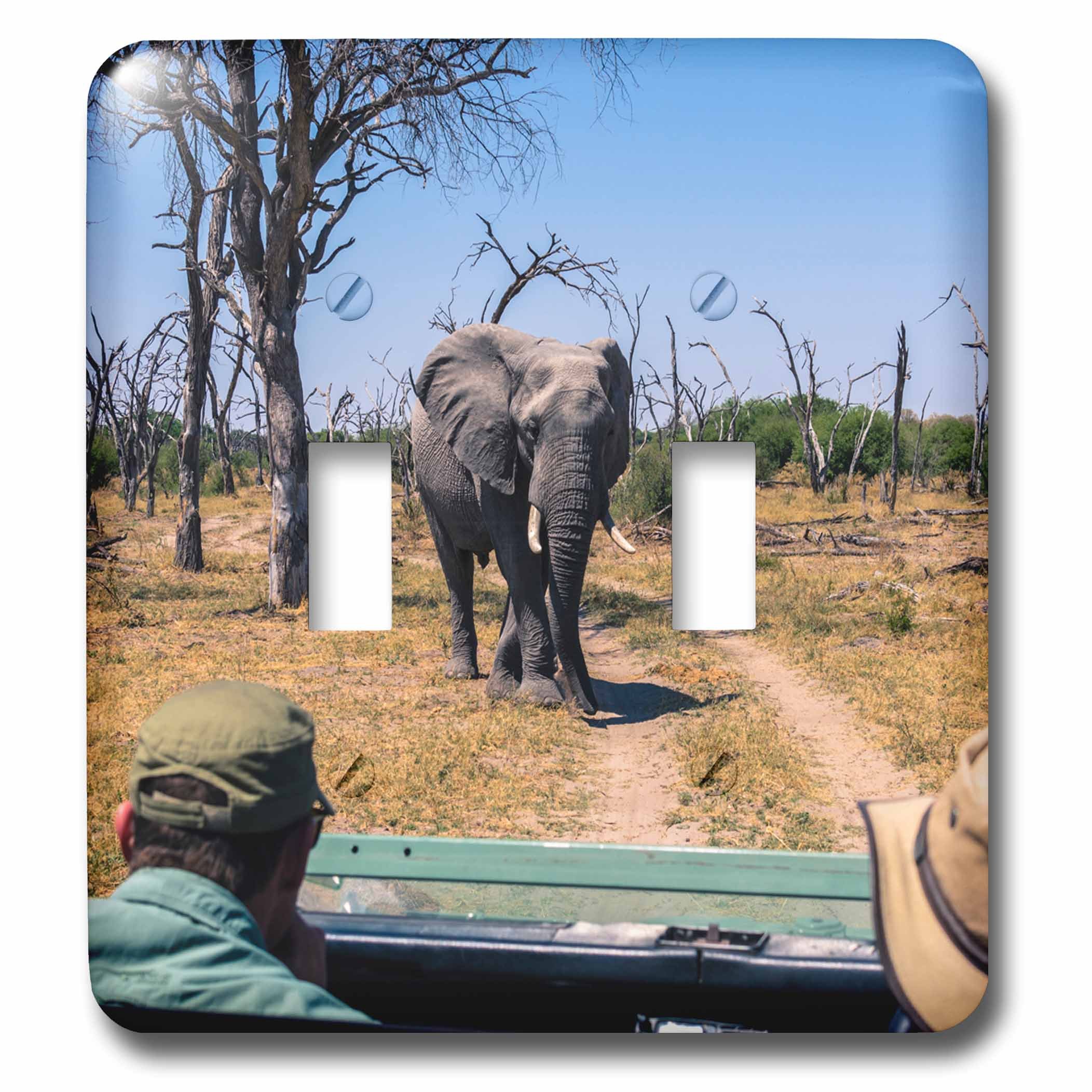 Interrupteur à baïonnette motif éléphant Botswana 3dRose haut de gamme