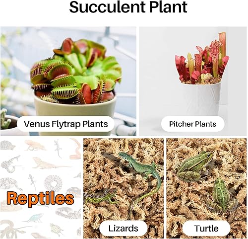 Miniatura 6 de Sukh Musgo de esfagnum para plantas de 10 onzas  Sphagnum Turba Musgo Natural Premium Premium Larga Fibra Chile Secado Musgo Mezcla para macetas