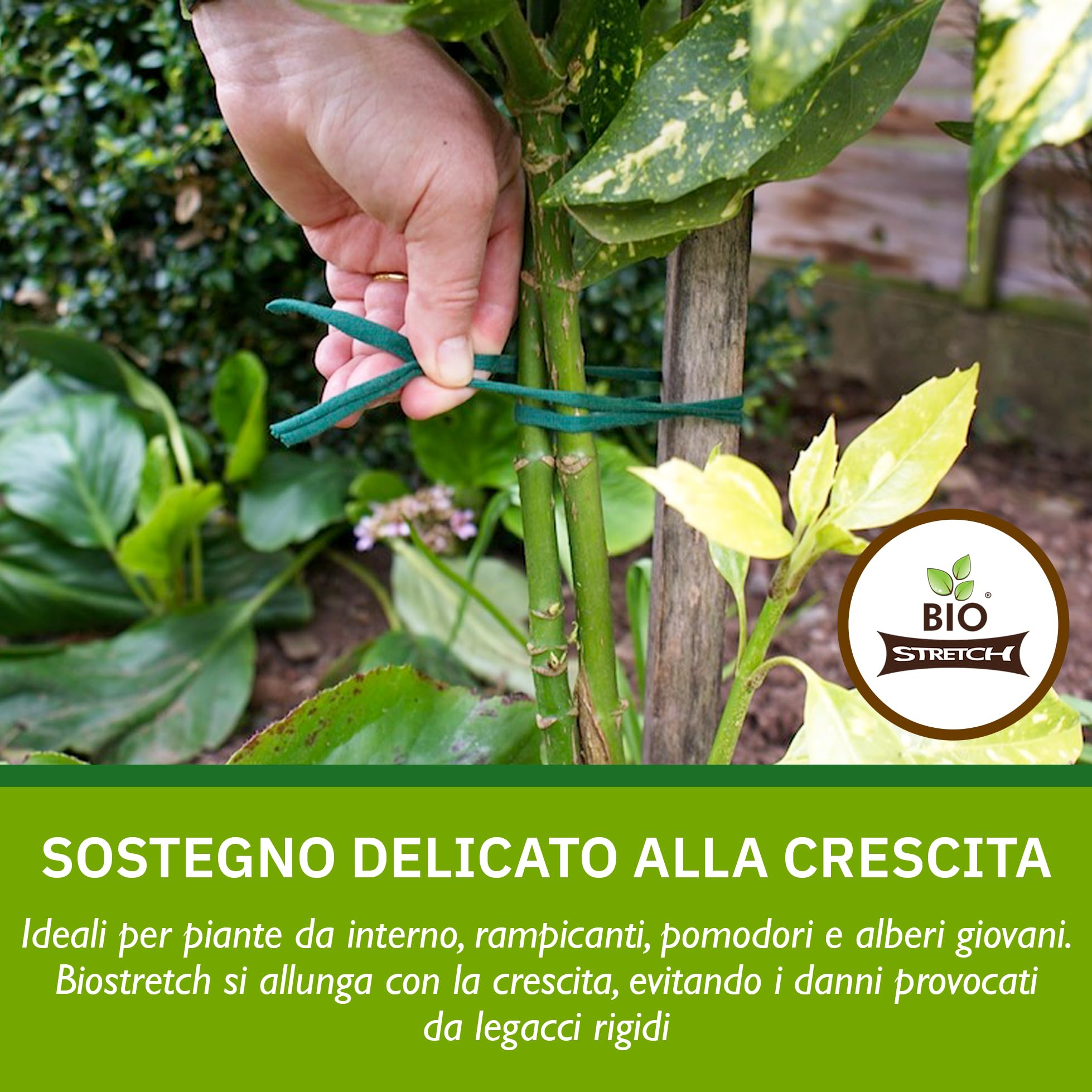 Bio-stretch Fascette da Giardino Morbide 20m Verde per Piante Rampicanti e Pomodori