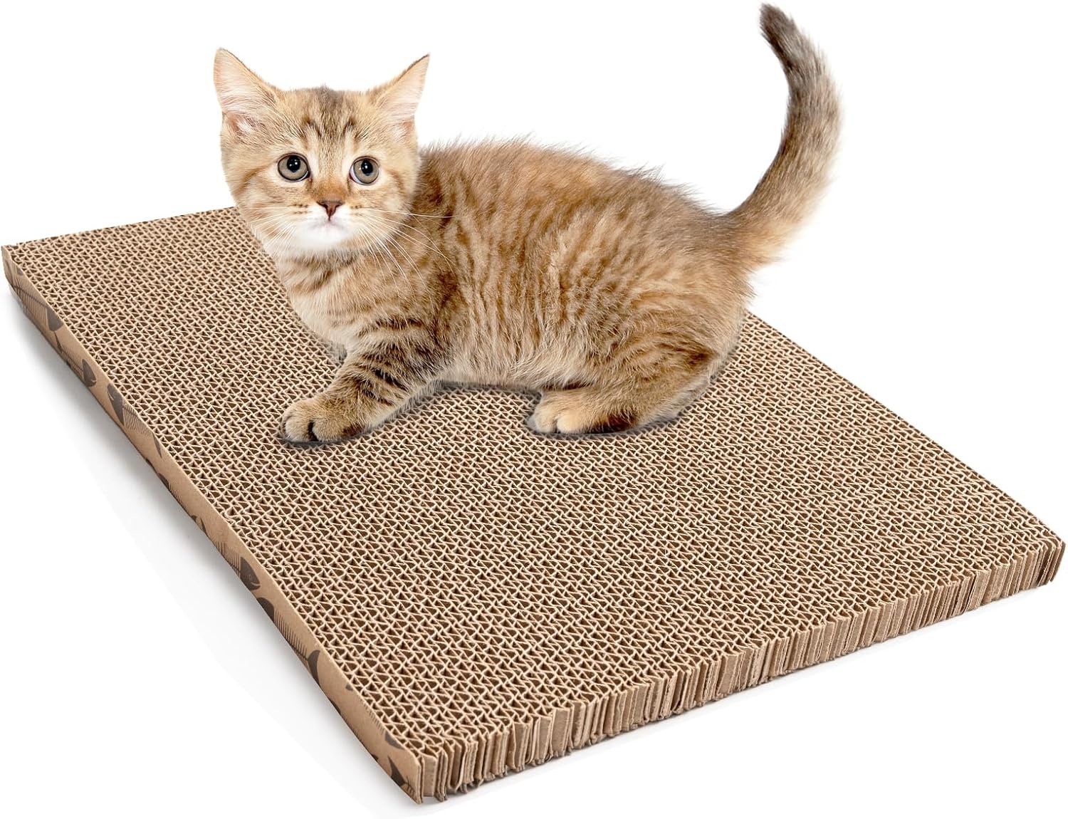 Roadtofree Double-Sided Cardboard Cat Scratcher with Catnip - Eco-Friendly Scratching Pad for Indoor Cats, Protects Furniture (1 Pack)