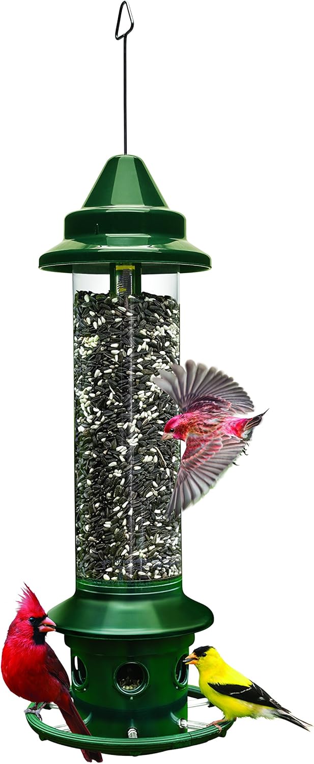 Squirrel Buster Plus Squirrel-proof Bird Feeder w/Cardinal Ring