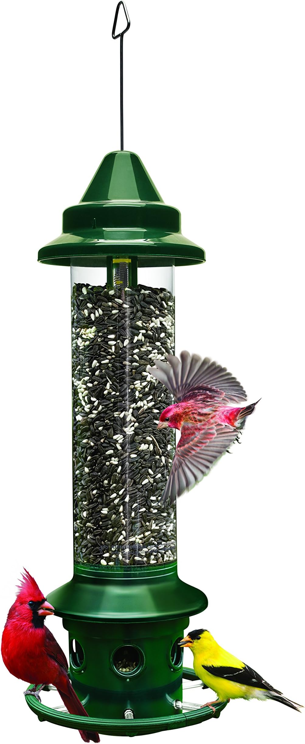 Brome 1024 Squirrel Buster Plus Wild Bird Feeder with Cardinal Perch Ring