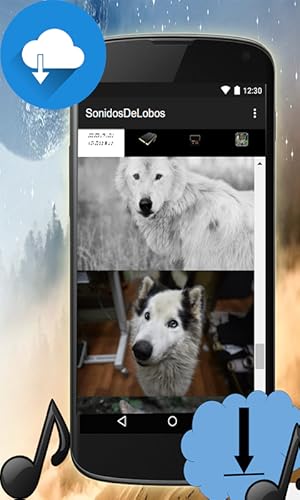 soa Lobos