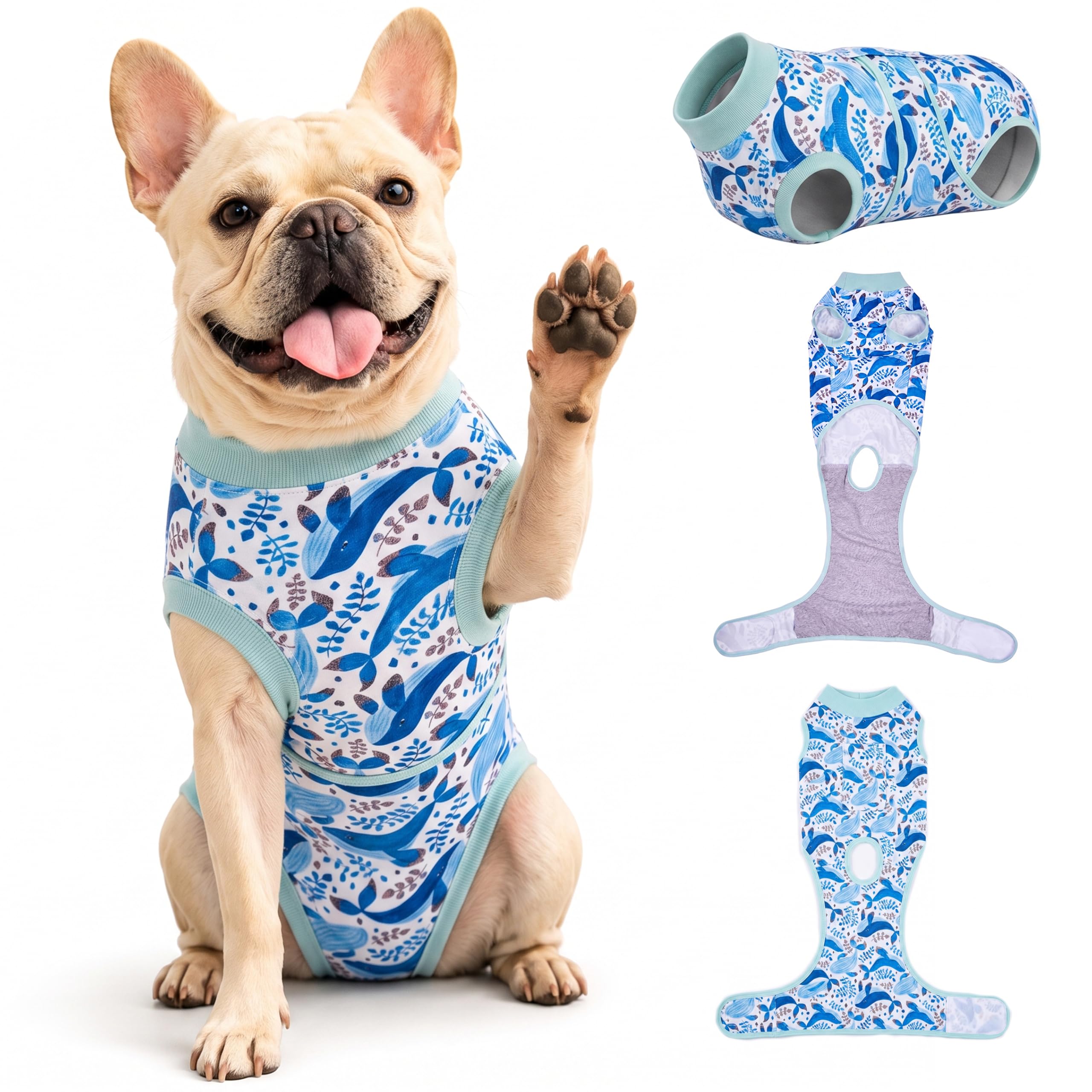PetWarm Surgical Suit for Dogs, Dog Surgery Suit, Marine Animal, Blue, XS