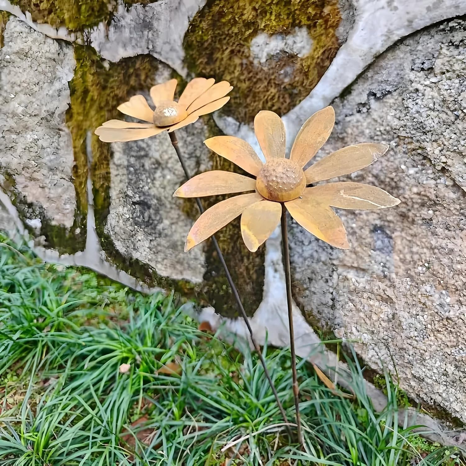 Lot de 2 décorations de jardin rouillées - Décor en rouille pour jardin en acier Corten - Pique de jardin en métal fleur de pavot - Décor de jardin - Tige grimpante en rouille naturelle (f)