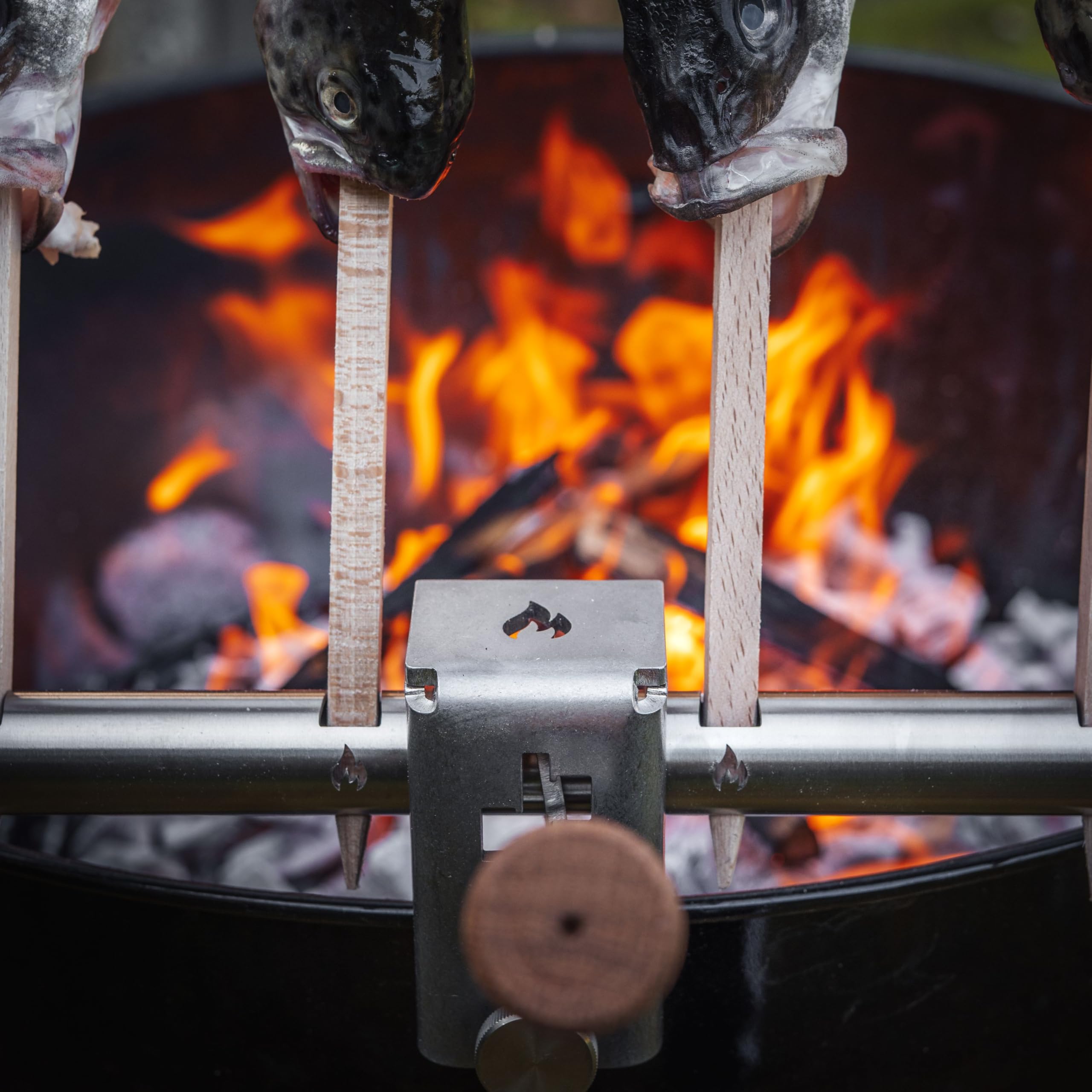 Grillrost.com Das Original Steckelfischhalter | Asado Grill| mit innovativer Höhenverstellung für Feuertonnen Feuerschalen & Kugelgrills