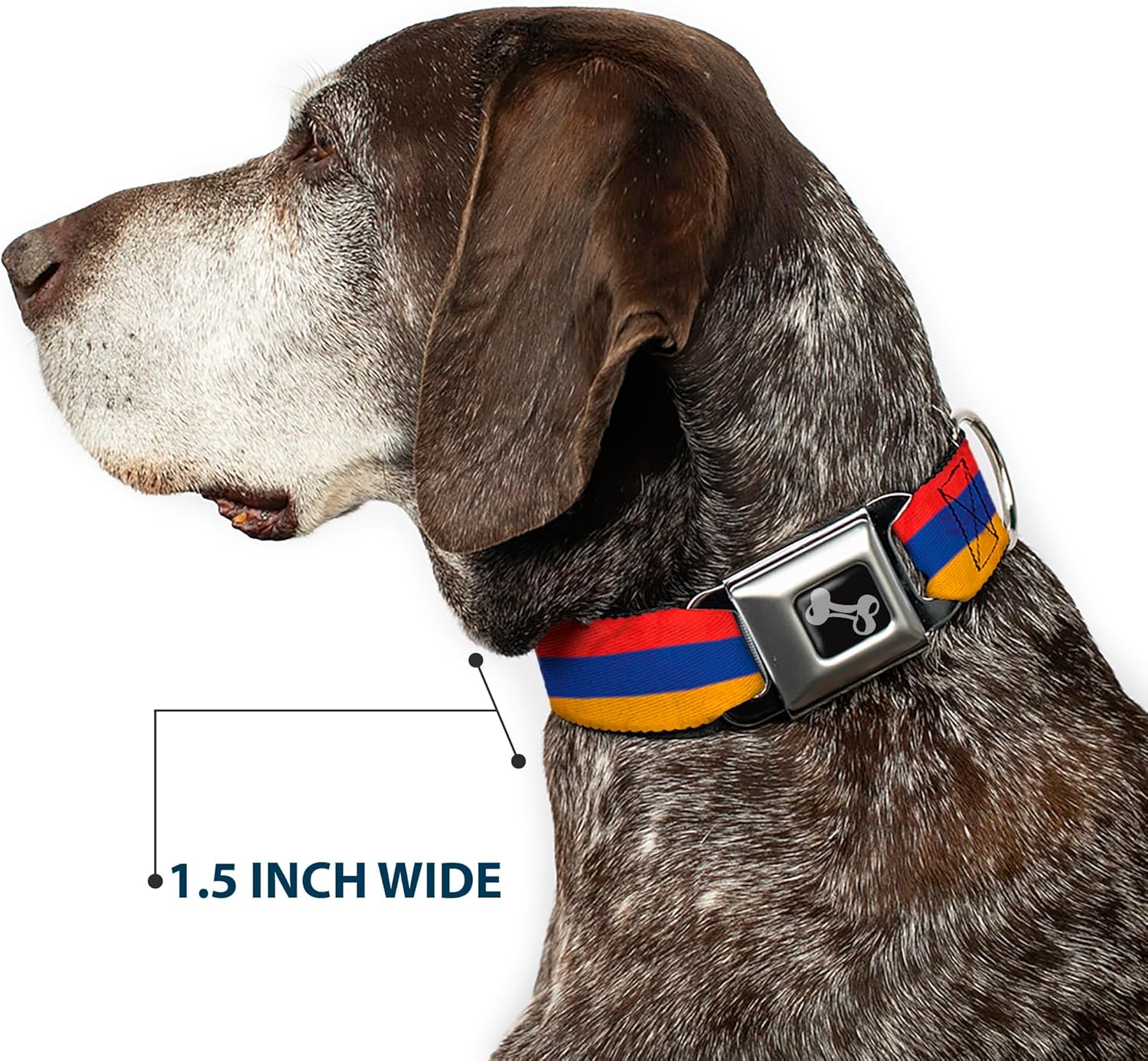 Buckle-Down Armenia Flag Distressed Dog Collar Bone