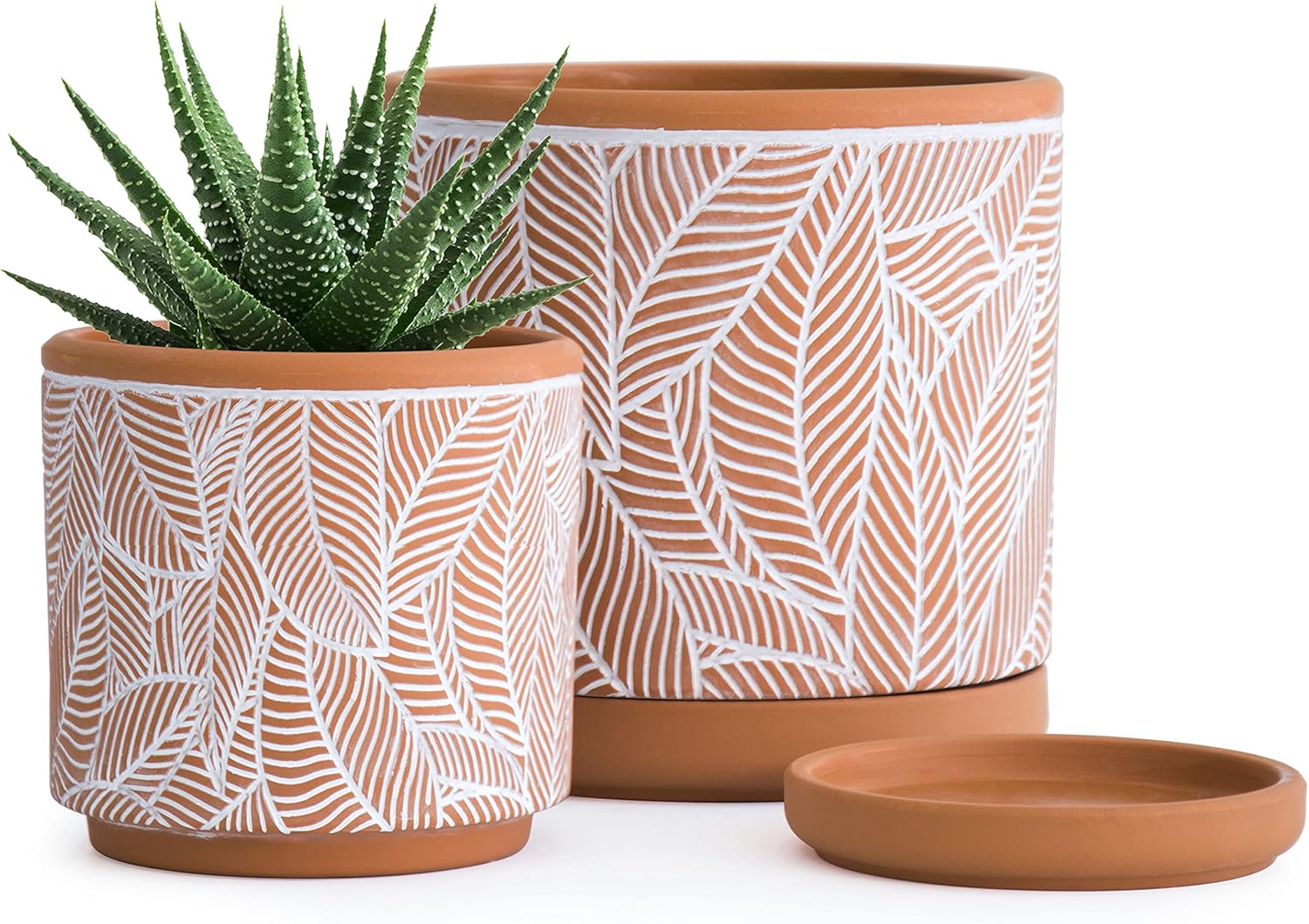 D'vine Dev Set of 2 Terracotta Pots, Leaves Pattern Planter Pot, 4 Inch and 6 Inch, Pot with Drainage Hole and Saucer, Terracotta/Black, 31-958-I-2