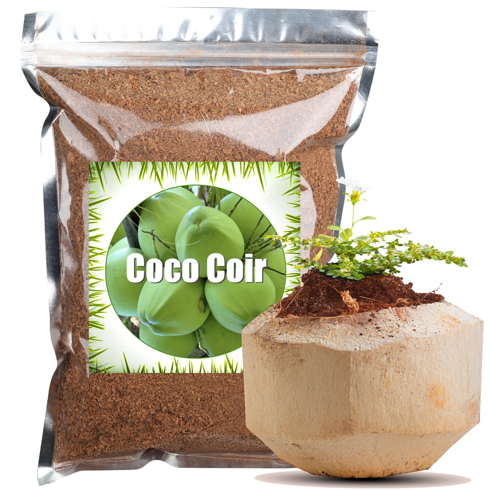 Coco Coir for Plants 4 qt, Loose Coconut Coir Soil Ready to Use for Soil Amendment or Reptile Substrate, Easy to Use for Small Gardening Projects
