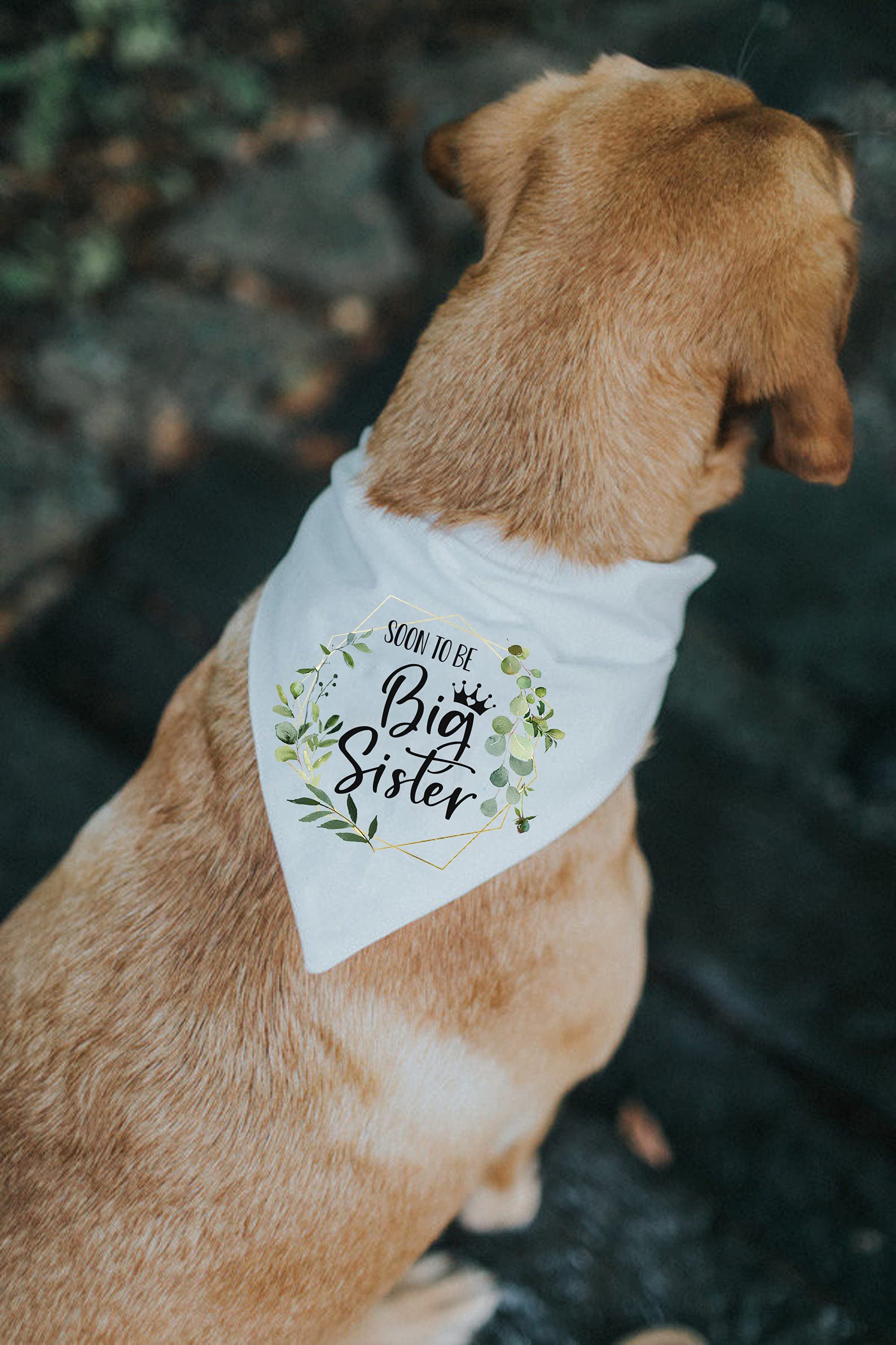 URROMA Meer Blauw en Zwart Blauw Plaid Hond Bandana Sjaal, 2 Packs Big Brother Zwangerschap Aankondiging Hond Bandana Verstelbare Driehoek Hond Slabbetjes Sjaal
