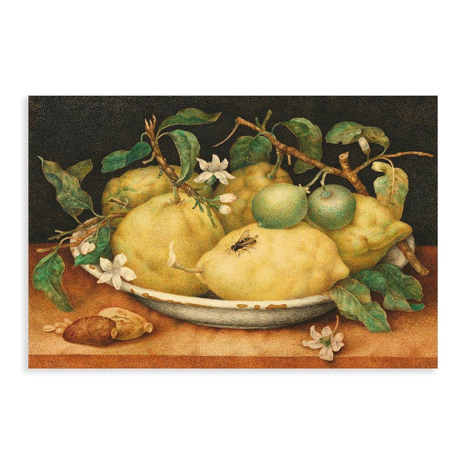 DFJyjFGJJ Giovanna Garzoni,Still Life with A Bowl of Citrons Canvas Wall Art Print Poster For Home School Office Decor 24" L X 36" W
