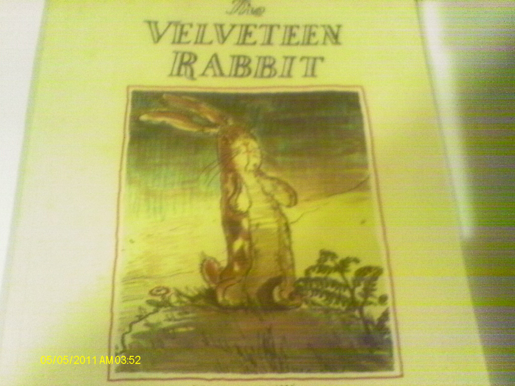 The Velveteen Rabbit