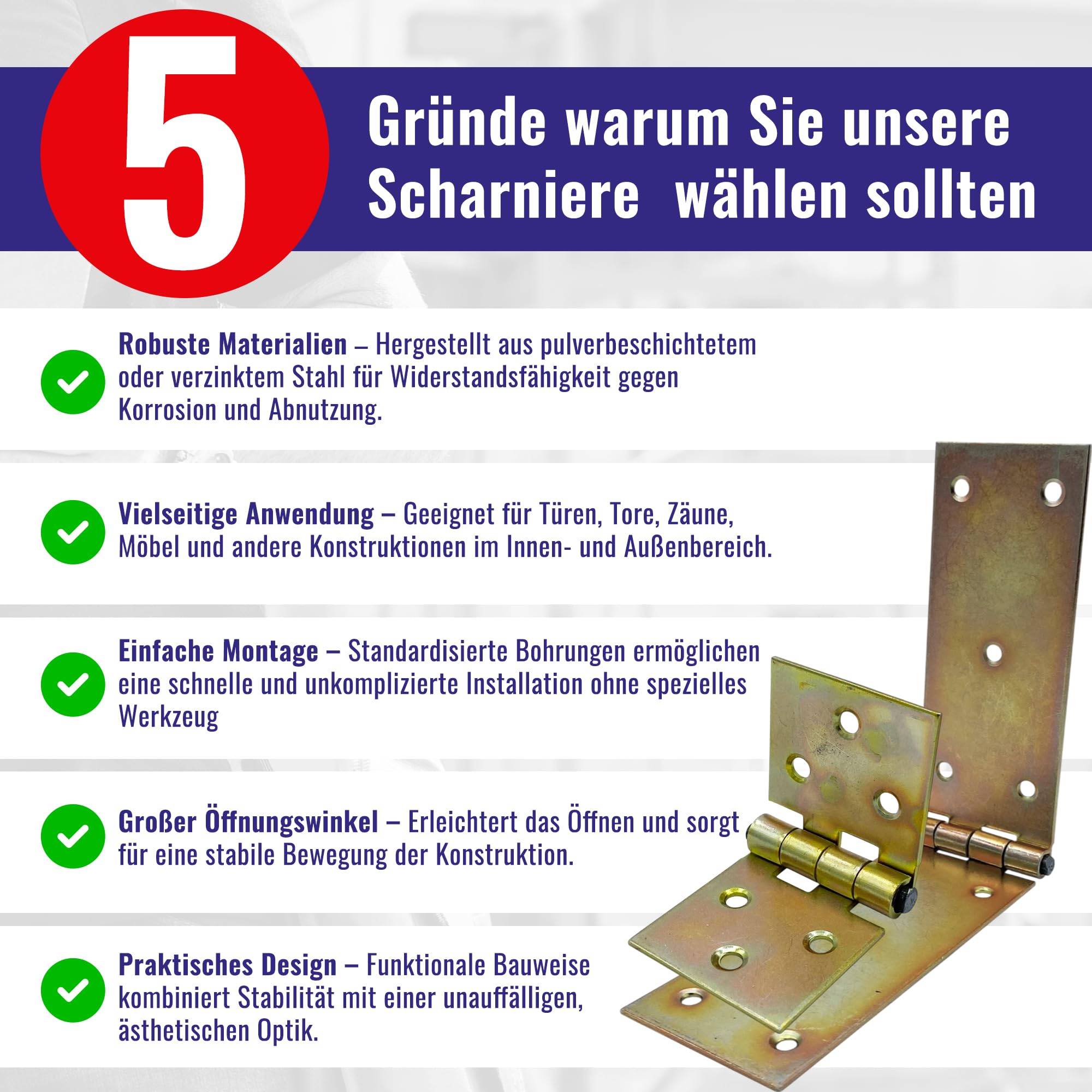 Chle-Mar - 10 cerniere zincate per mobili e porte in legno, 100 x 200 mm, resistenti alle intemperie e durevoli per interni ed esterni