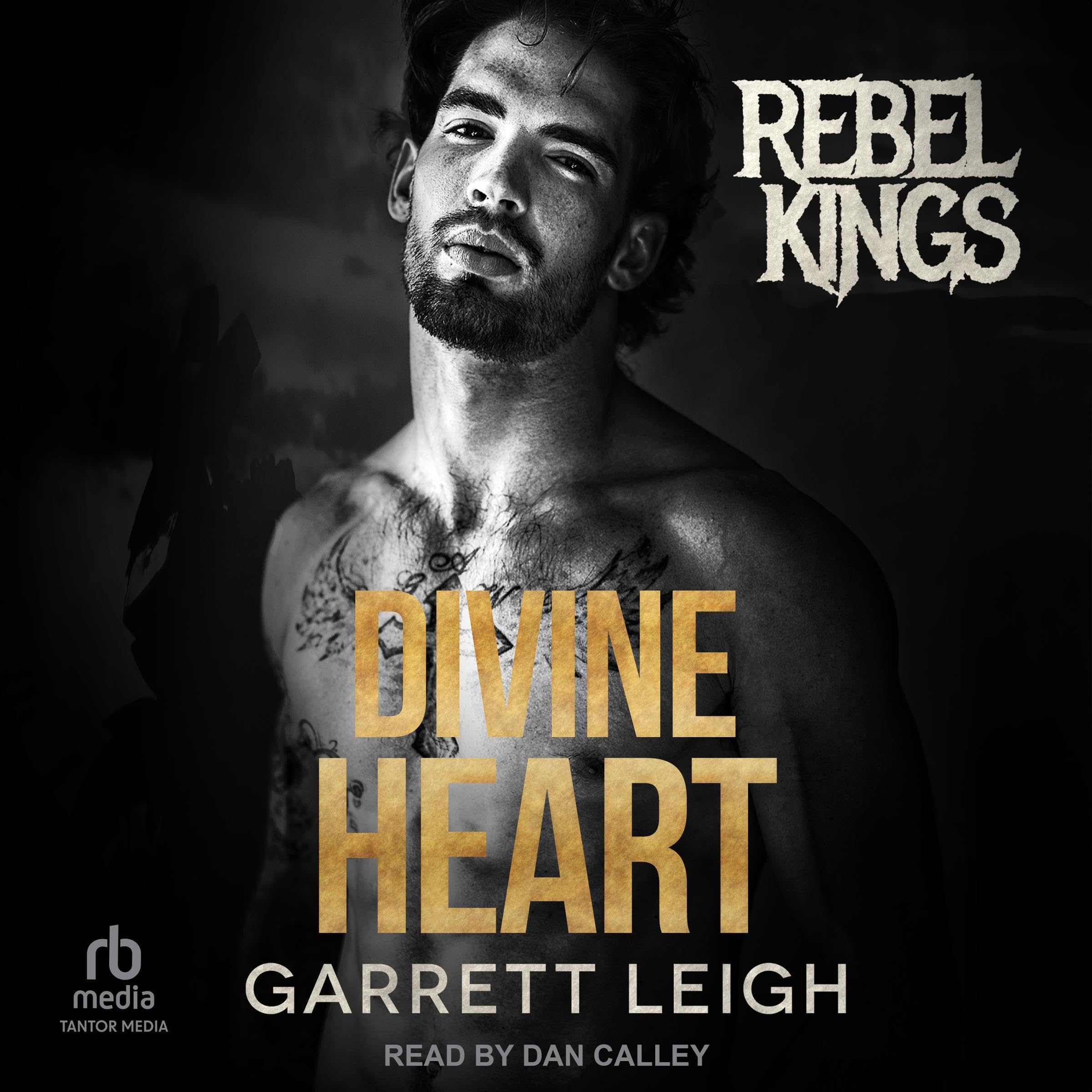 Divine Heart: Rebel Kings MC, Book 9