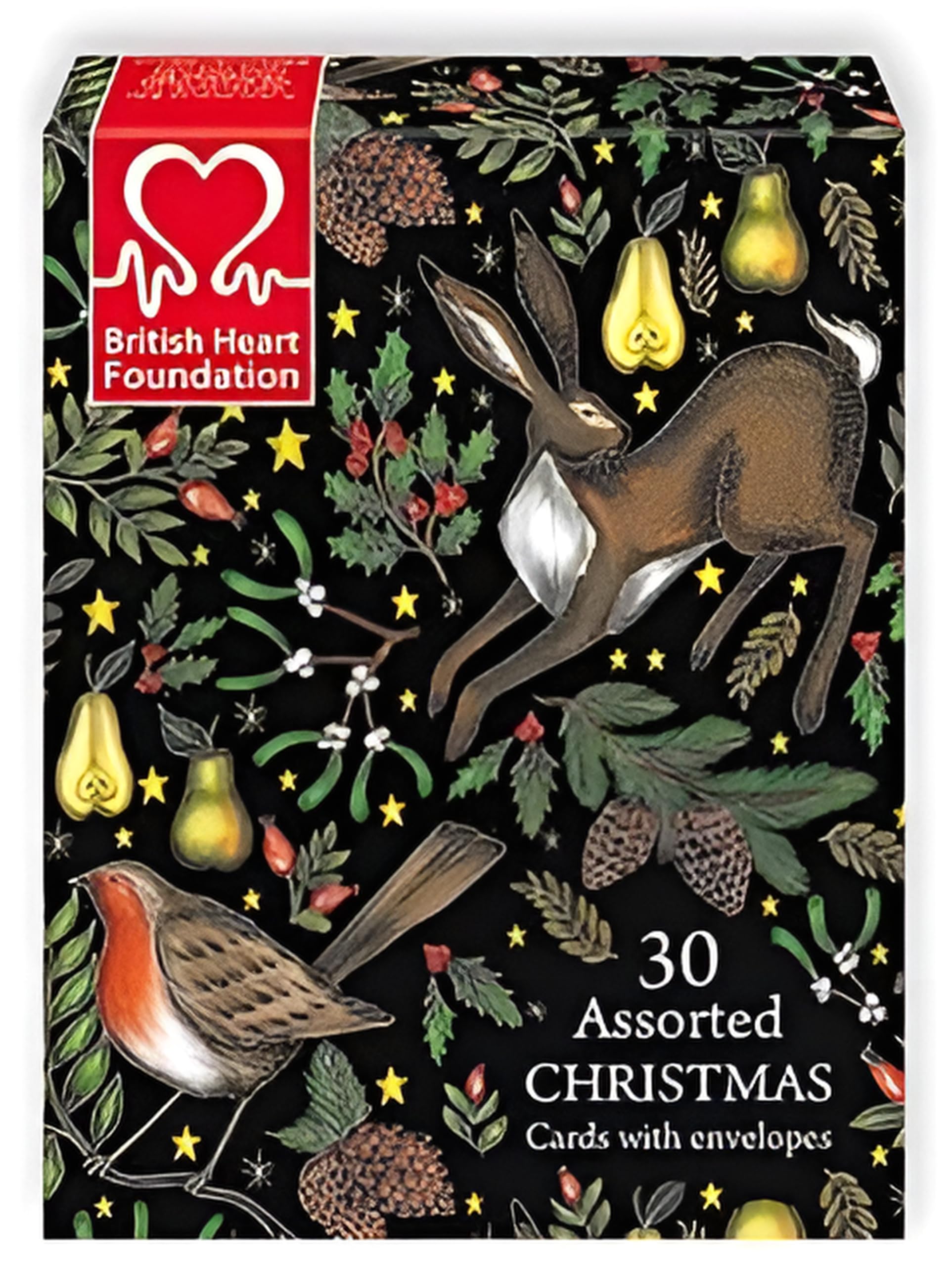 Museums and Galleries Charity Christmas Cards Box of 30, Charity Christmas Cards with Assorted Artistic Designs