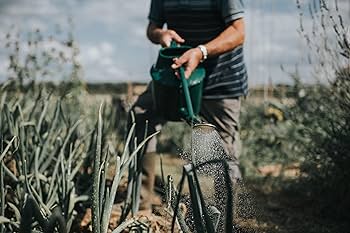 birdwell 緑色の水着 ボタン付き ドローコード 楽天市場