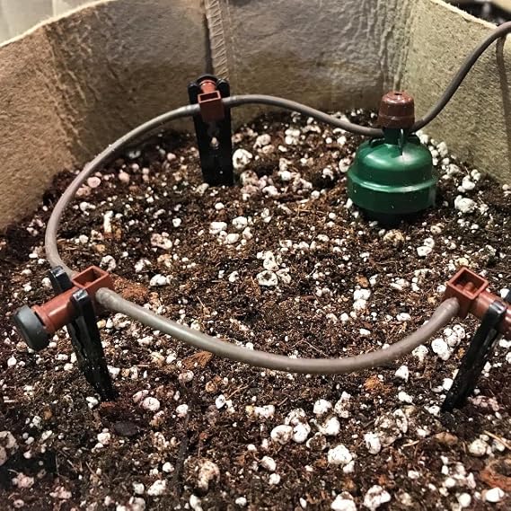 Blumat 50 Distributor Drippers with 10 End Pieces to Attach to Watering System Parts | Water Evenly Garden, Balcony Plants (50 Pieces, 10 End Pieces)