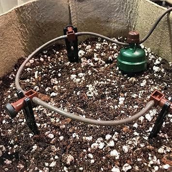 Blumat 50 Distributor Drippers with 10 End Pieces to Attach to Watering System Parts | Water Evenly Garden, Balcony Plants (50 Pieces, 10 End Pieces)