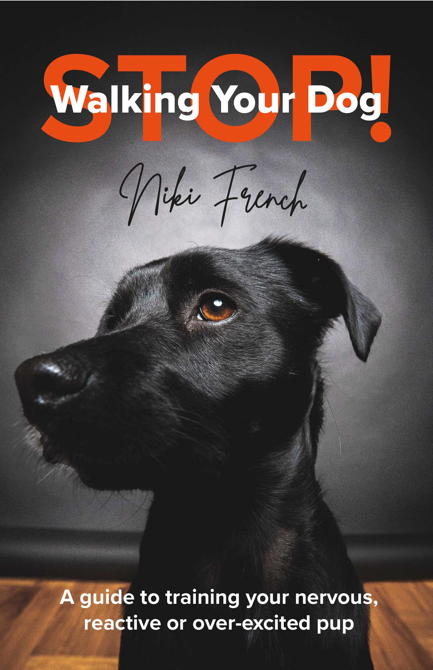 Stop Walking Your Dog: A Guide to Training Your Nervous, Reactive, or Over-Excited Pup