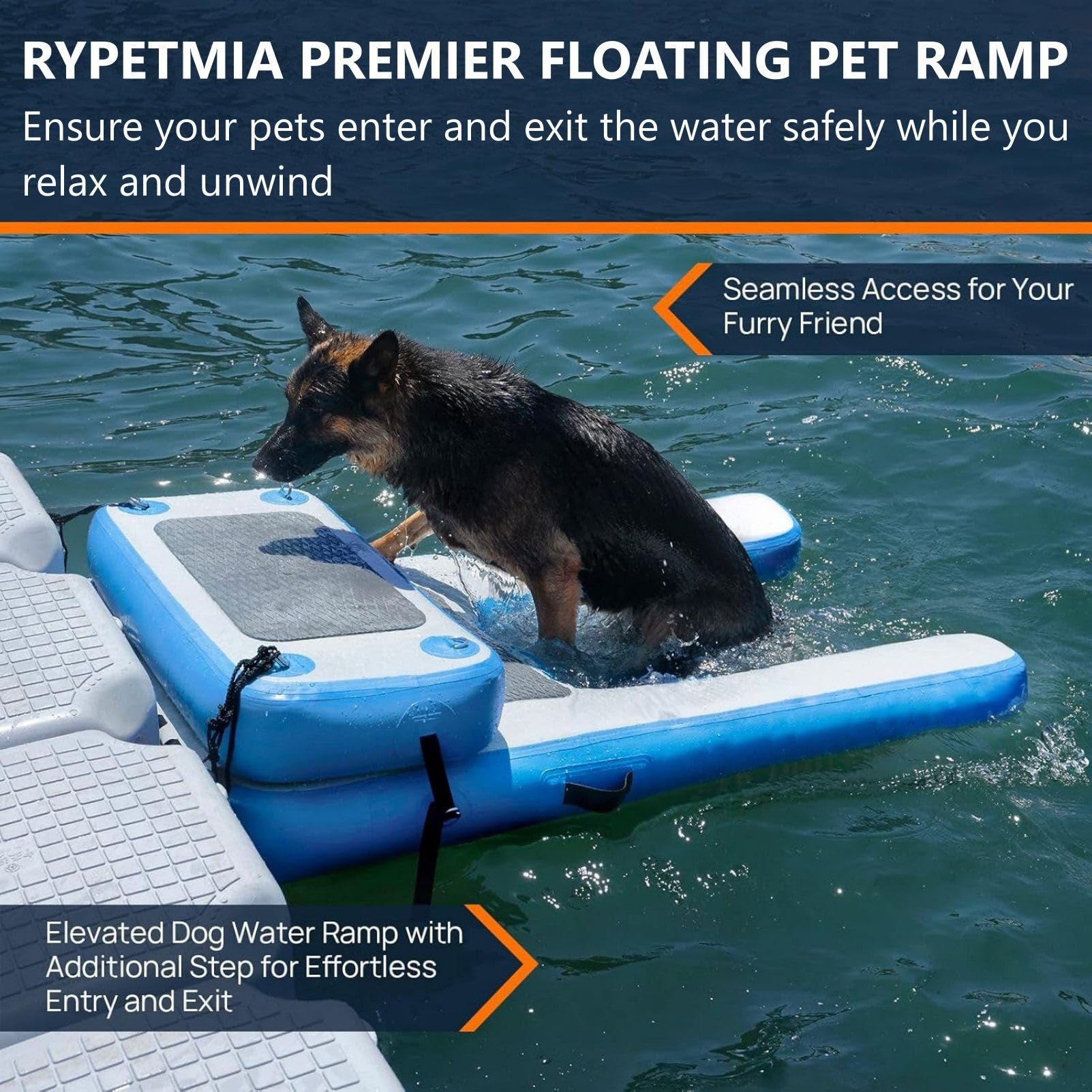 Scaletta portatile per cani con supporto antiscivolo in EVA per un'uscita sicura da barca, piscina, bacino, lago