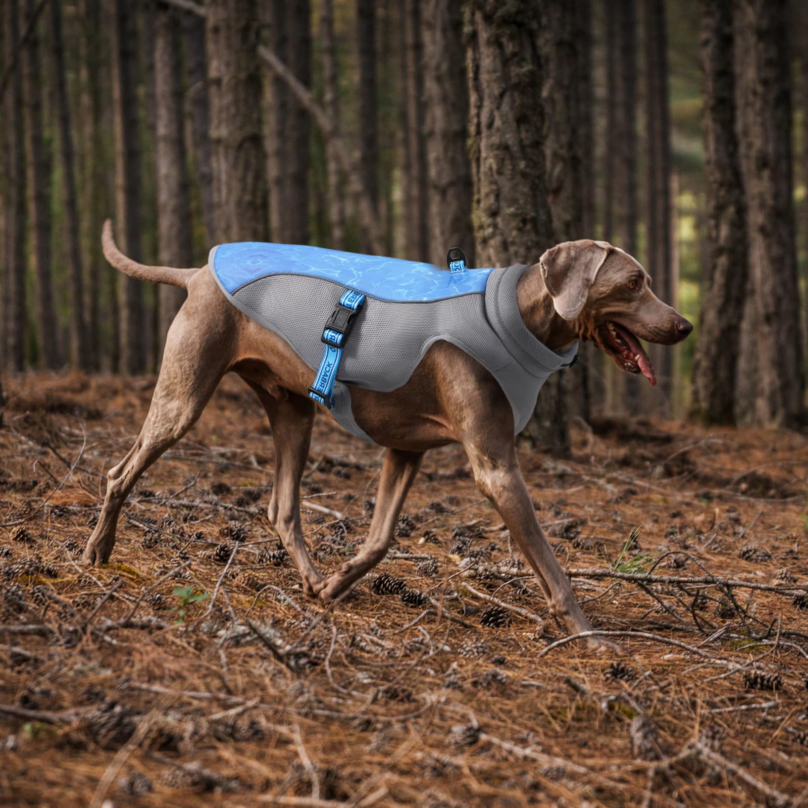 Gilet Rinfrescante per Cane Leggero - Pettorina Refrigerante di Protezione UV per Spiaggia, Traspirante Cappotto di Raffreddamento Interno, Escursione Estivi (Verde M)